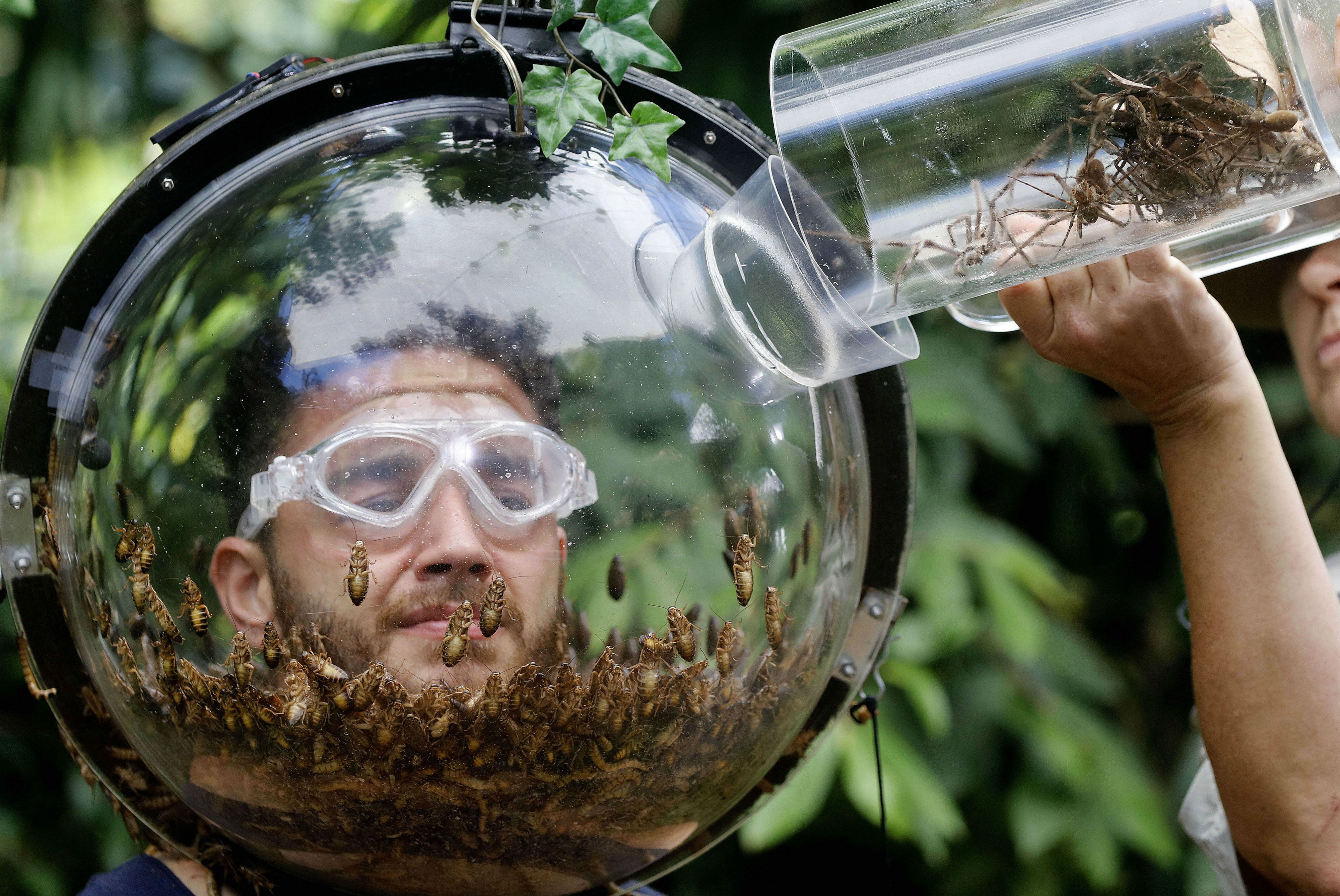 I'm a Celebrity: Adam Thomas faces his 11th Bushtucker Trial - and yes,  there were spiders