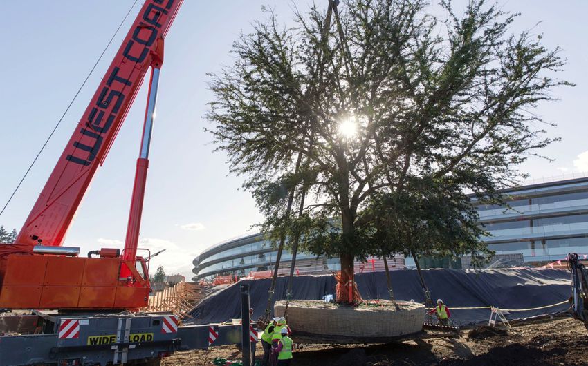 Apple Campus 2