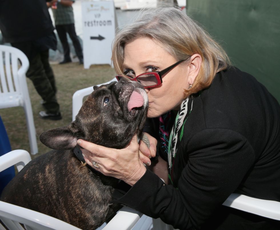 Carrie Fisher kisses her beloved pet dog Gary, Comic-Con 2015