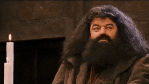 Harry Potter: Hagrid fist-pump reaction GIF
