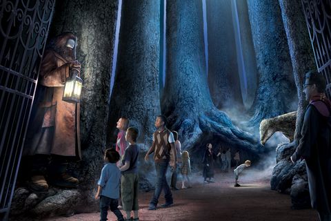 Harry Potter Fans Can Now Tour Forbidden Forest I Tickets Buy