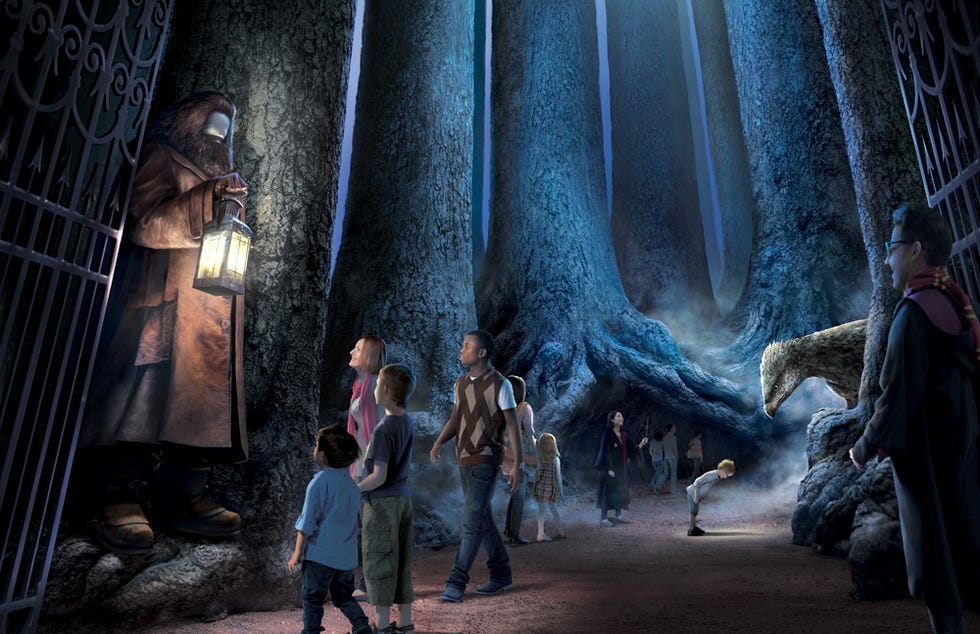 the forbidden forest, harry potter studio tour