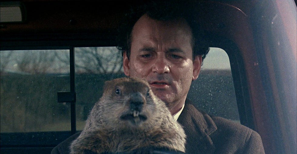 ziua marmotei bill murray