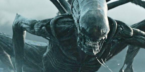 Alien Xenomorph Female Sex - Ridley Scott finally reveals the gender of Alien: Covenant's Xenomorph