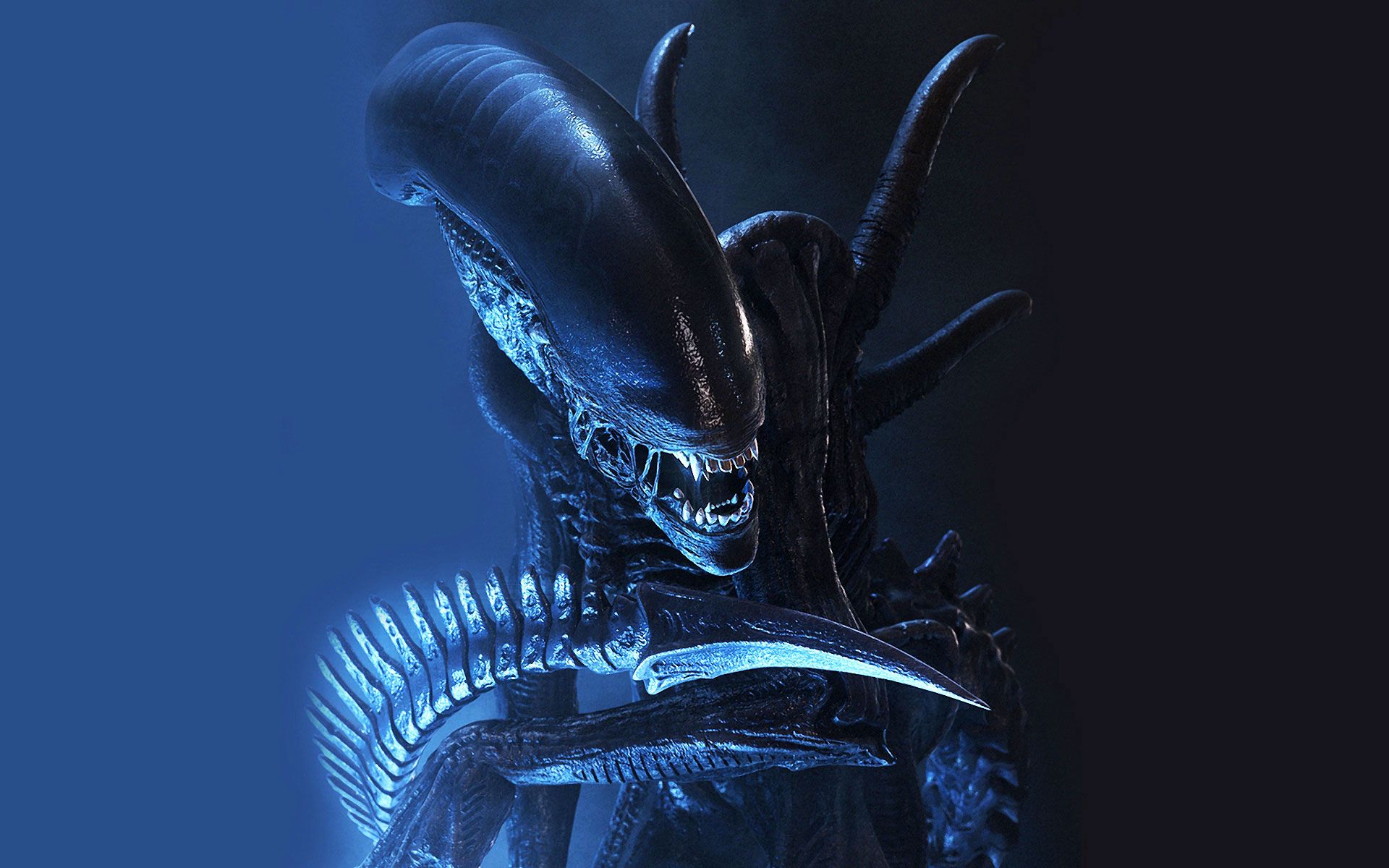 Xenomorph From Alien Covenant