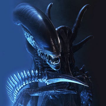 alien xenomorph