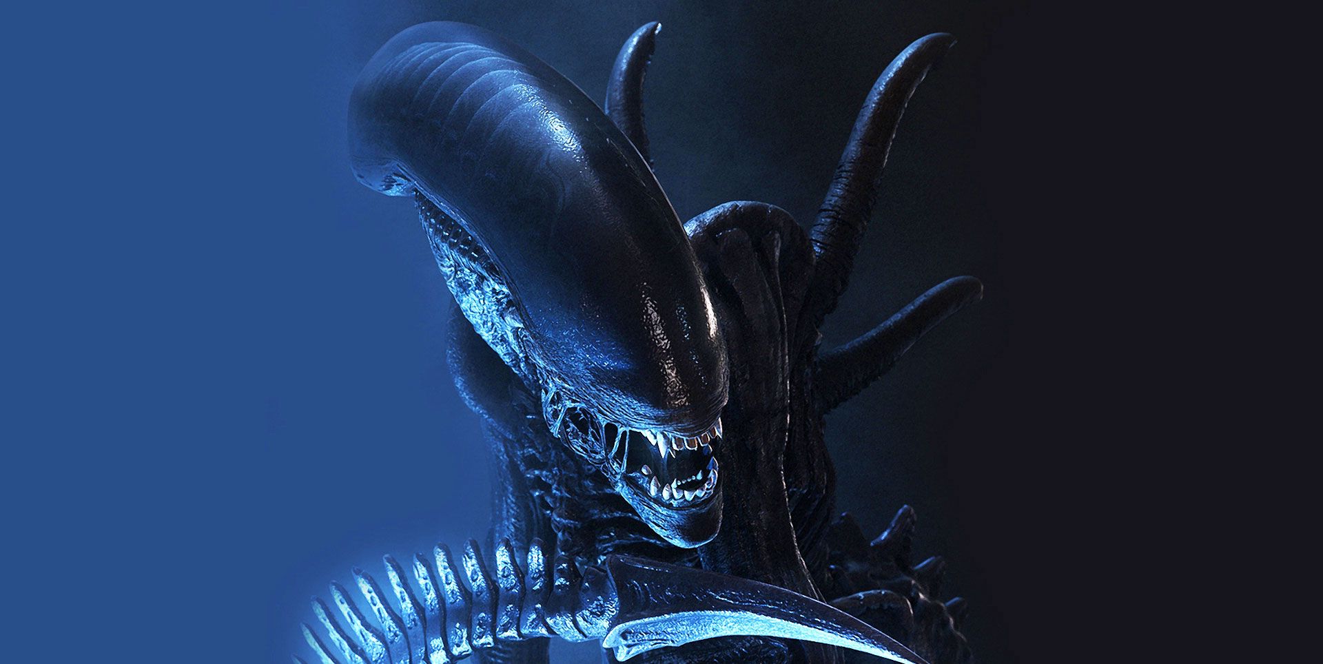 alien xenomorph prometheus