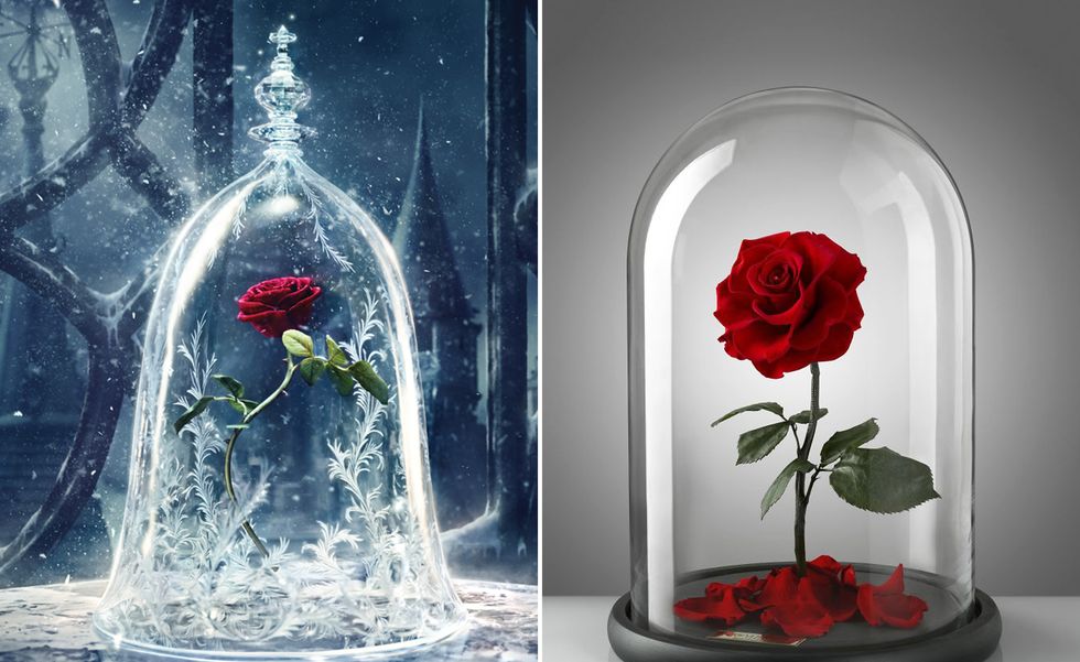 You can now buy the Beauty and the Beast enchanted rose