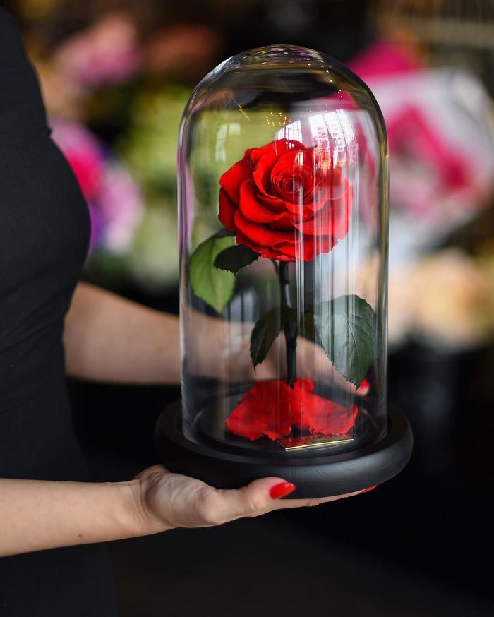 Details about   Beauty and the Beast 'Enchanted Rose' 