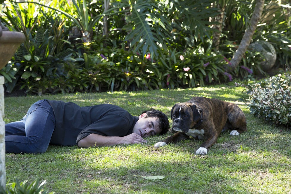 justin morgan collapses in home and away