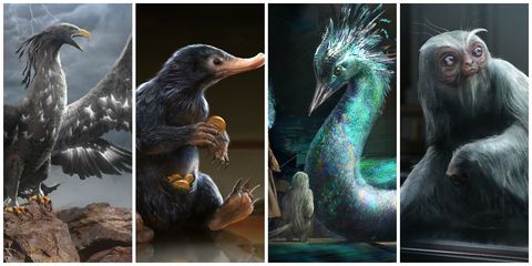 Fantastic Beasts and where to find them concept art