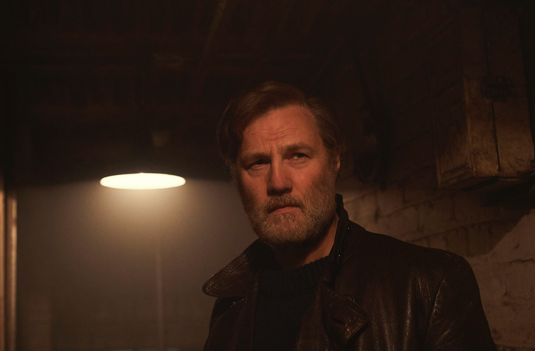 David Morrissey 2019