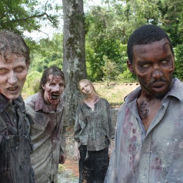 Walking Dead zombie - season 2
