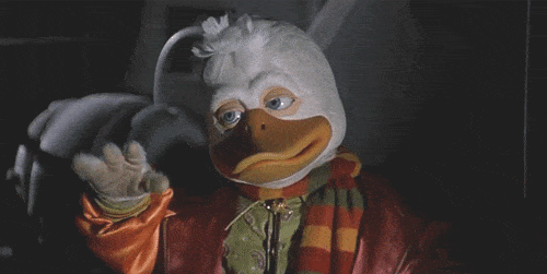 1493376354-howard-the-duck-maybe.gif