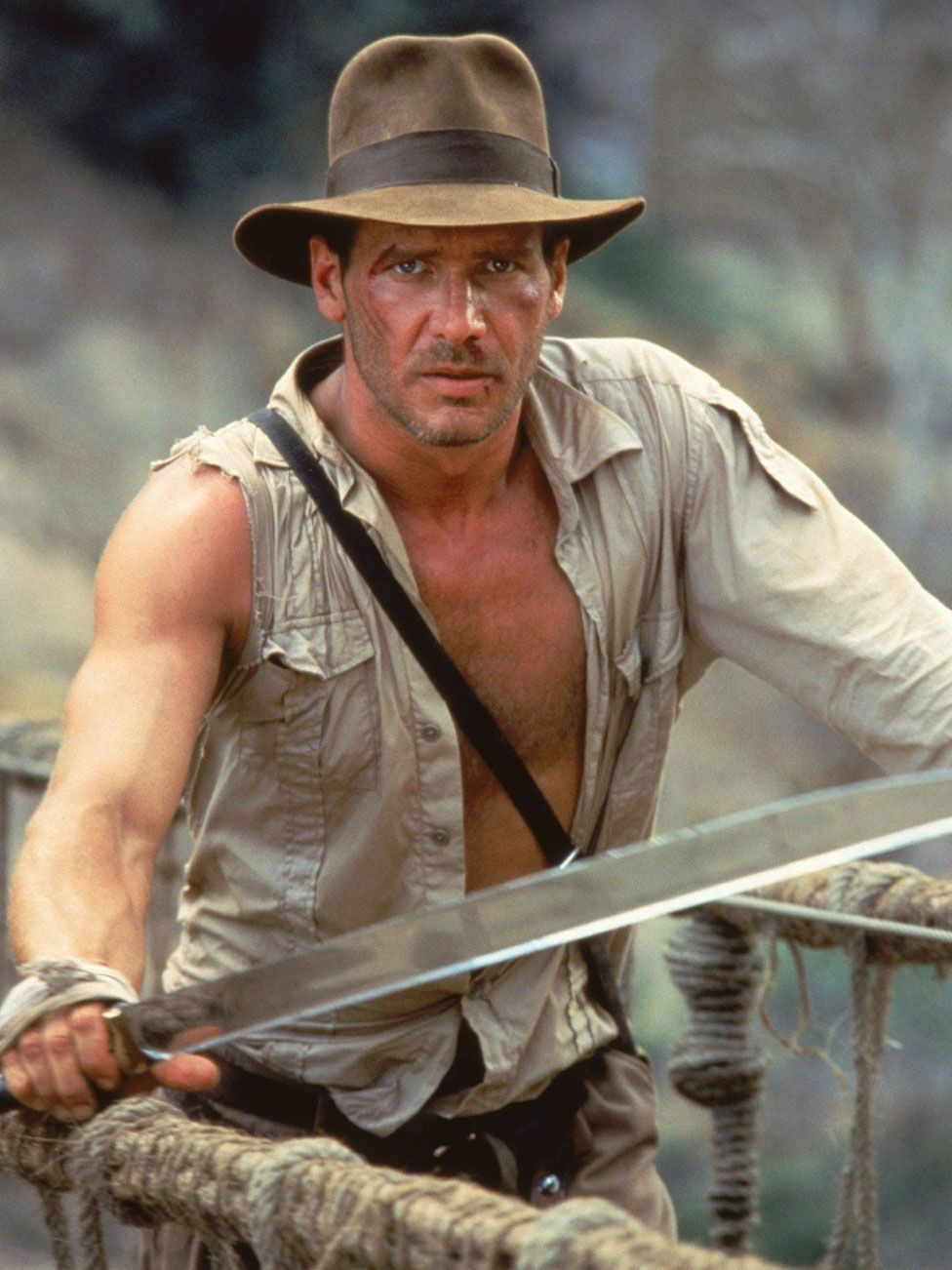 When is 'Indiana Jones and the Dial of Destiny' Coming To Disney Plus? - Disney  Plus Informer