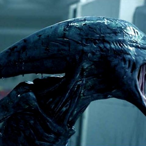 Alien 3 Plot Cast And Everything You Need To Know - original alien 1 alien xenomorph
