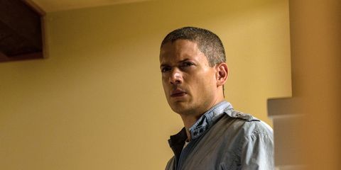 Prison Break Season 5 Download Utorrent