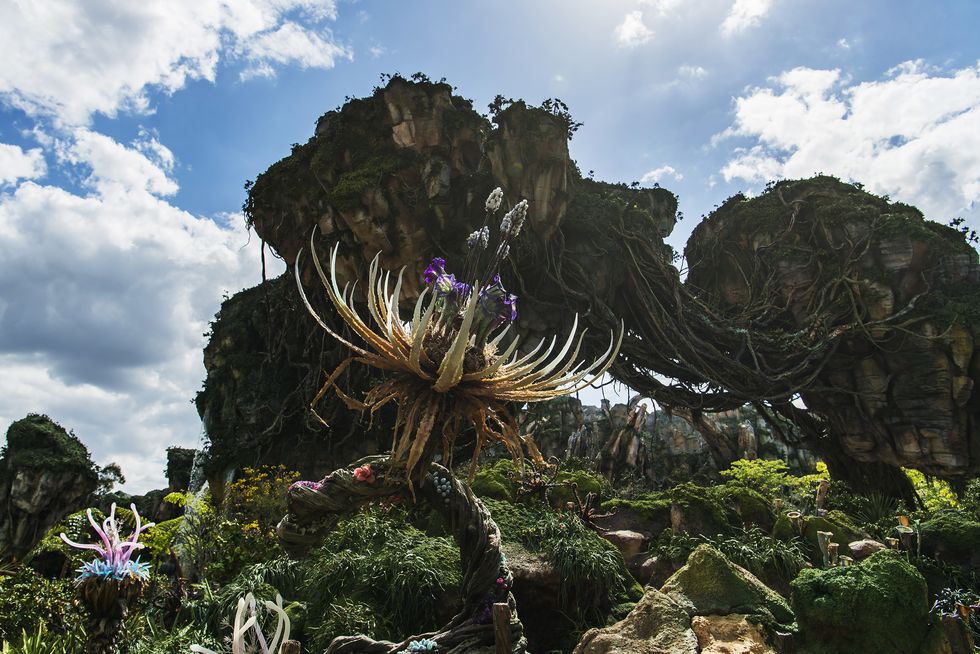 Pandora - The World of Avatar at Disney's Animal Kingdom brings a variety of experiences to the park, including the family friendly Na'vi River Journey attraction, the thrilling Flight of Passage attraction, as well as new food, beverage and merchandise locations. Disney's Animal Kingdom is one of four theme parks at Walt Disney World Resort in Lake Buena Vista, Fla. (Matt Stroshane, photographer)