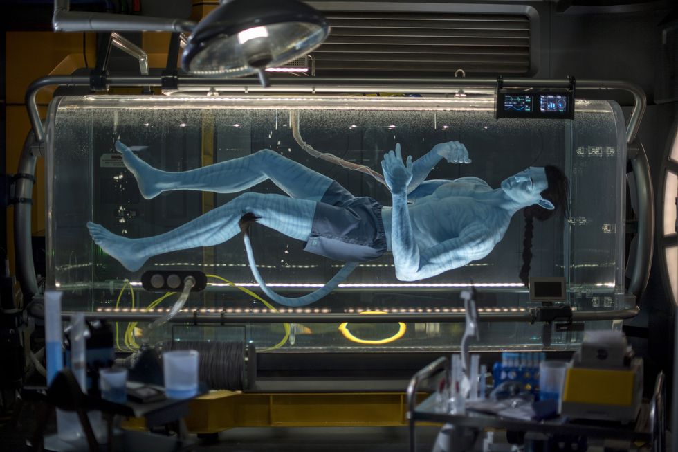 Avatar Flight of Passage, a 3-D thrilling adventure set to open on Pandora – The World of Avatar at Disney's Animal Kingdom, offers guests the chance to connect with an avatar and soar on a banshee over Pandora. The journey begins in the queue, as guests get a peek inside a high-tech research lab to view an avatar still in its growth state inside an amnio tank. The room features charts and screens that show just how humans will 