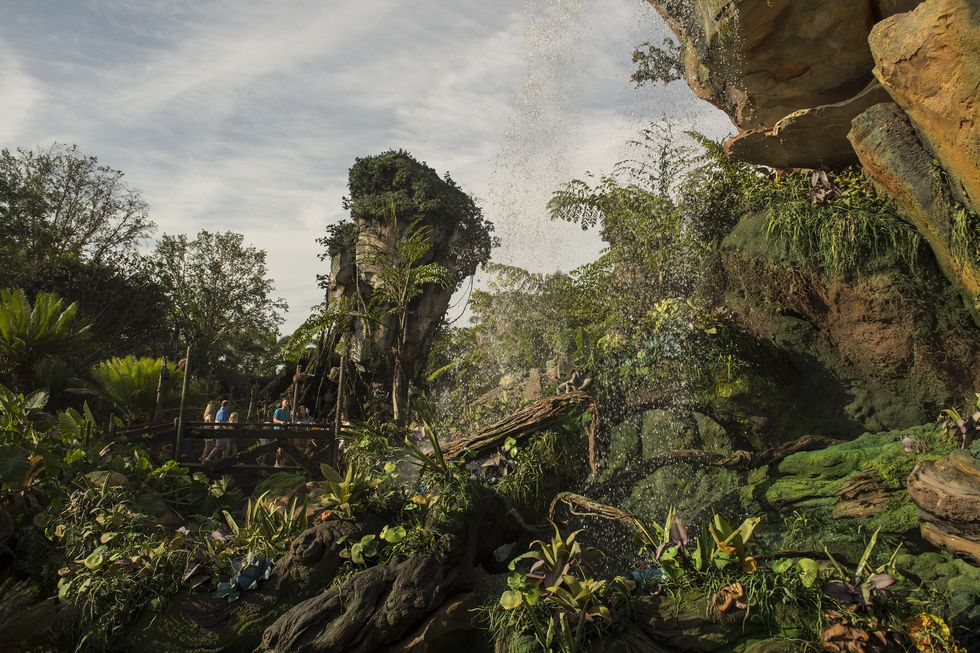 Pandora - The World of Avatar at Disney's Animal Kingdom brings a variety of experiences to the park, including the family friendly Na'vi River Journey attraction, the thrilling Flight of Passage attraction, as well as new food, beverage and merchandise locations. Disney's Animal Kingdom is one of four theme parks at Walt Disney World Resort in Lake Buena Vista, Fla. (David Roark, photographer)