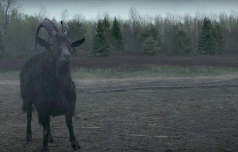 Black Phillip The Witch