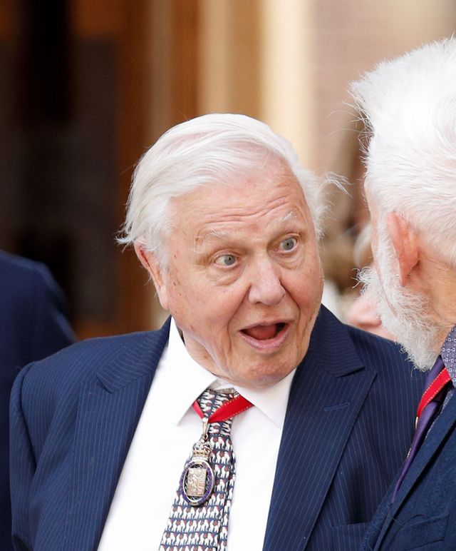 Sir David Attenborough nearly died making documentary