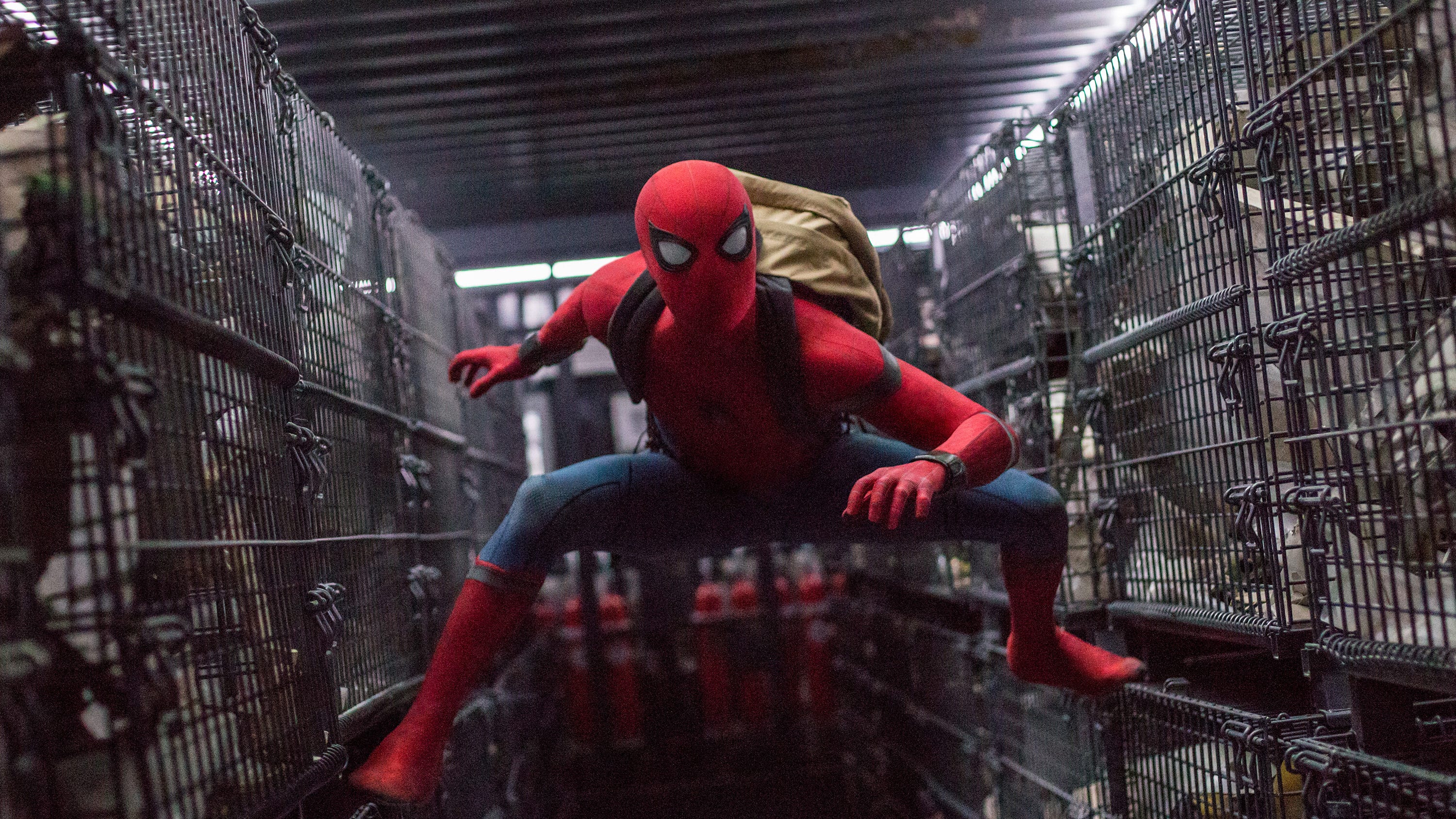Timeline, Marvel's Spider-Man Wiki