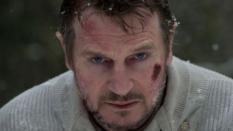 The Grey, starring Liam Neeson