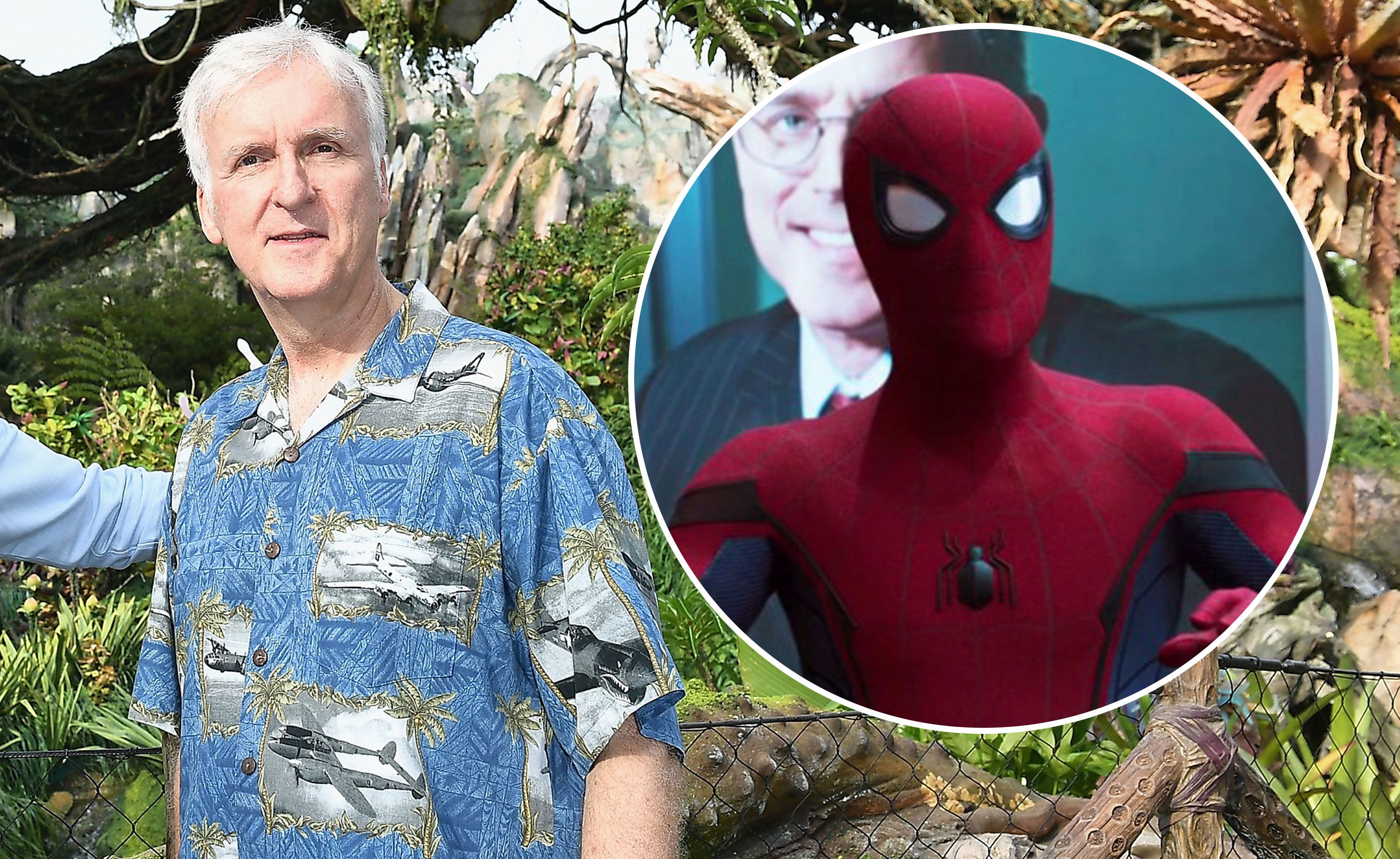 James Cameron nearly made a Spider-Man film