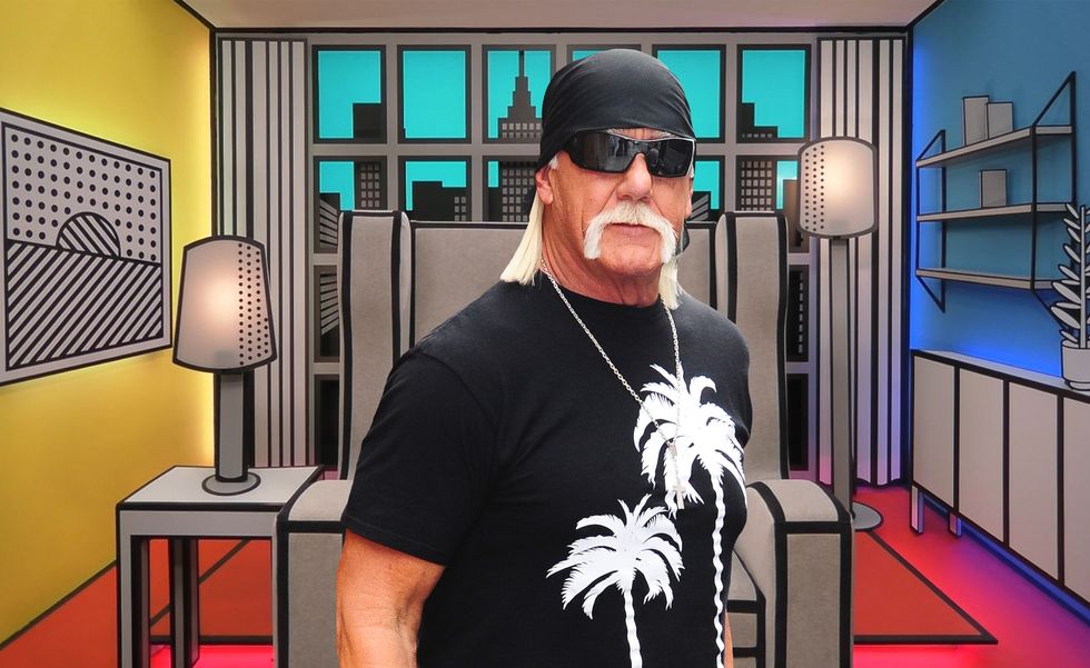 Hulk Hogan, Big Brother