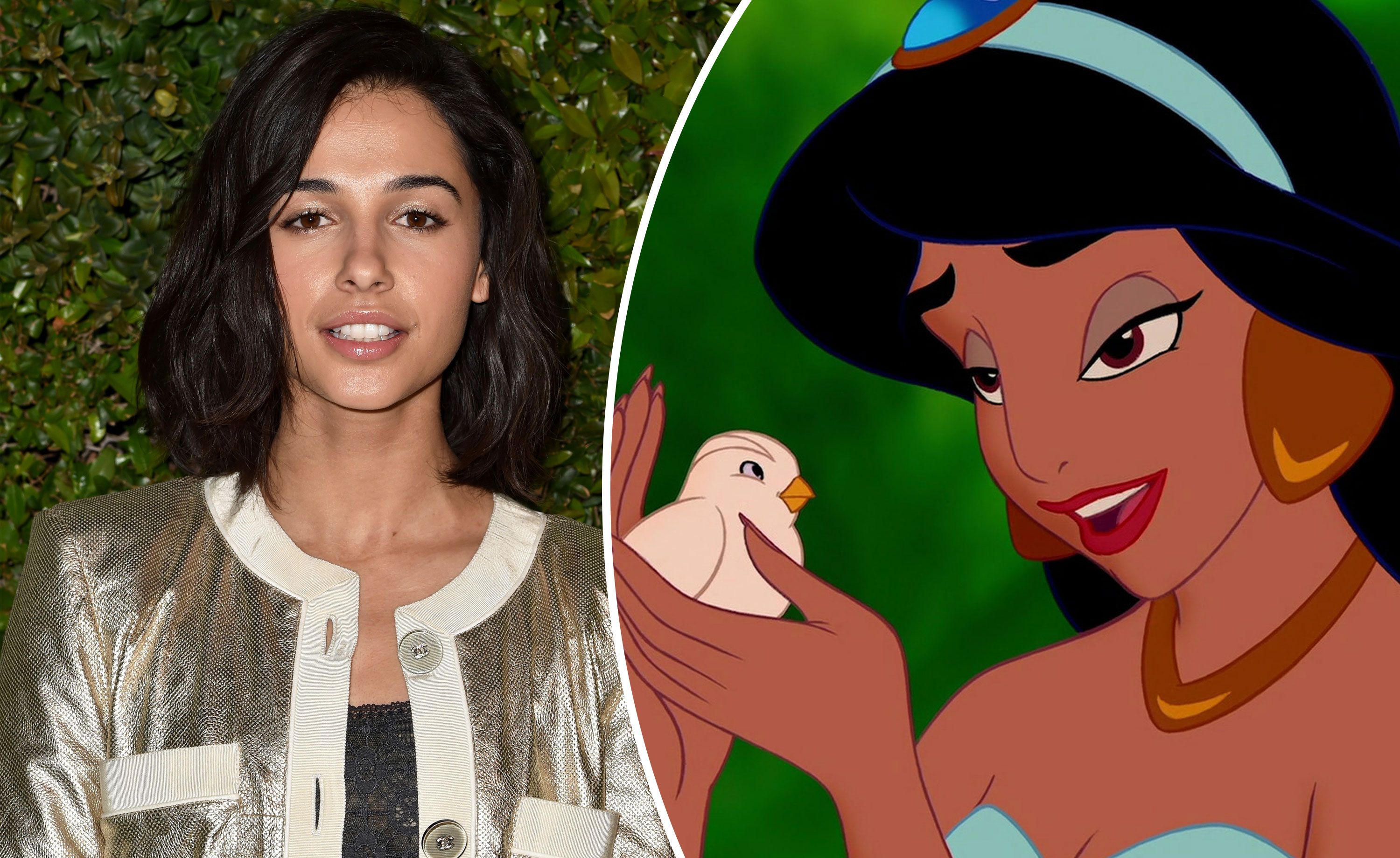 Melodie Kräuter Kammer Aladdin Princess Jasmine Actress Ländlich Klebrig Mental 