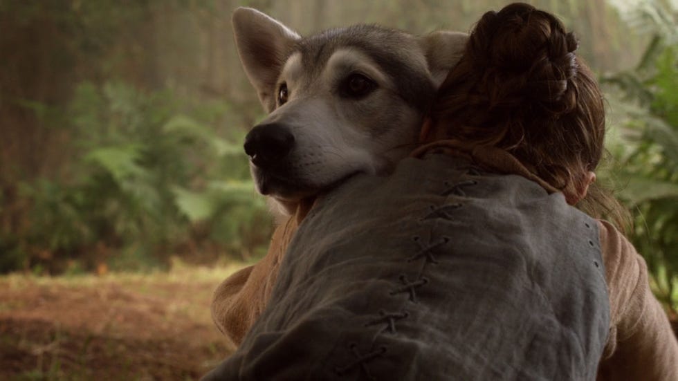 Maisie Williams, Nymeria, Arya Stark, Game of Thrones
