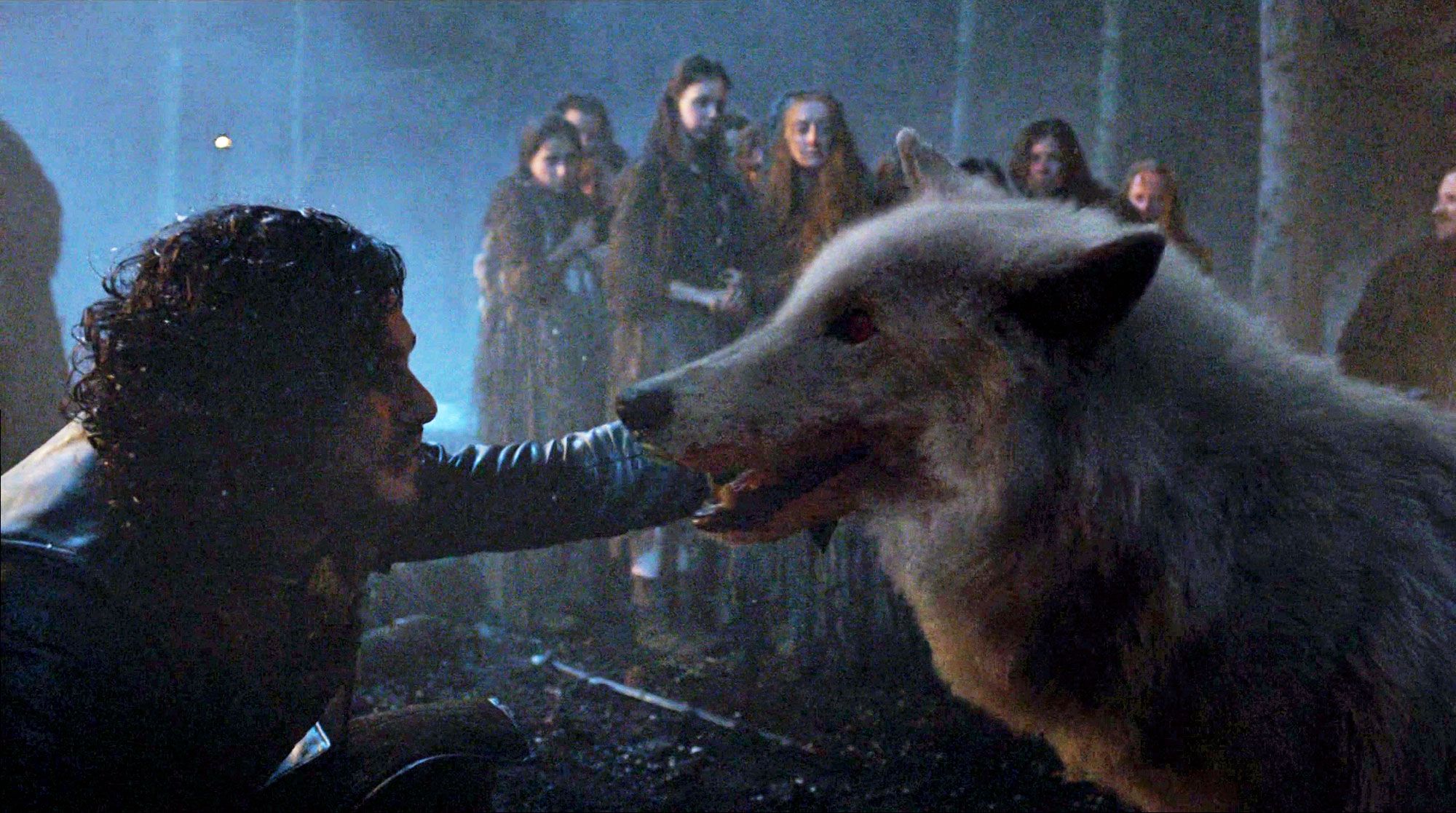 Ghost Is Coming Back In Game Of Thrones Season 8