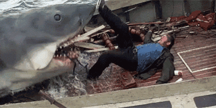 jaws quint gif