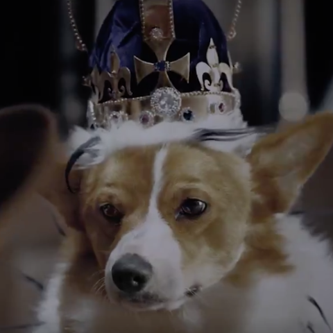 Netflix's The Crown with corgis