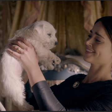 victoria queen victoria jenna coleman with the new family puppy isla
