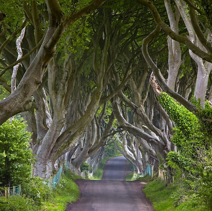 Game of Thrones Ep 2: The Kingsroad