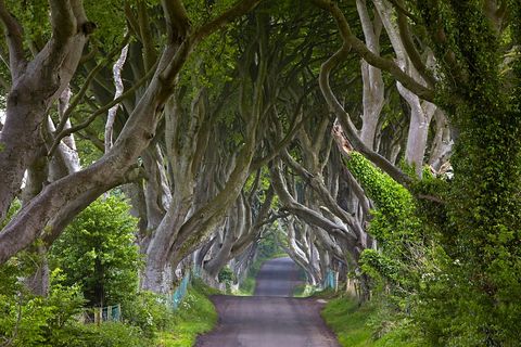 Game Of Thrones Kingsroad Filming Location Will See Traffic Banned