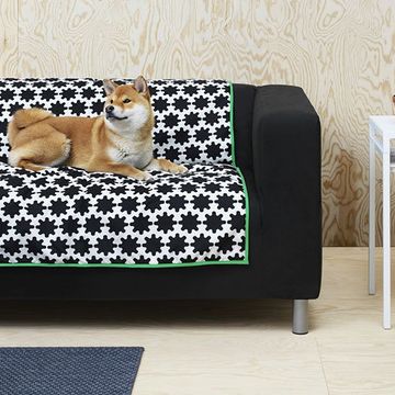 IKEA furniture for cats and dogs