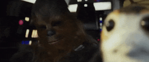Porg in Star Wars: The Last Jedi trailer gif
