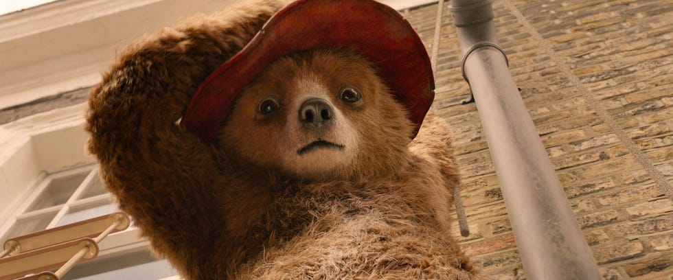 paddington bear 2, voiced by ben wishaw