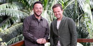 Anthony McPartlin, Declan Donnelly, I'm A Celebrity 2017 presenters
