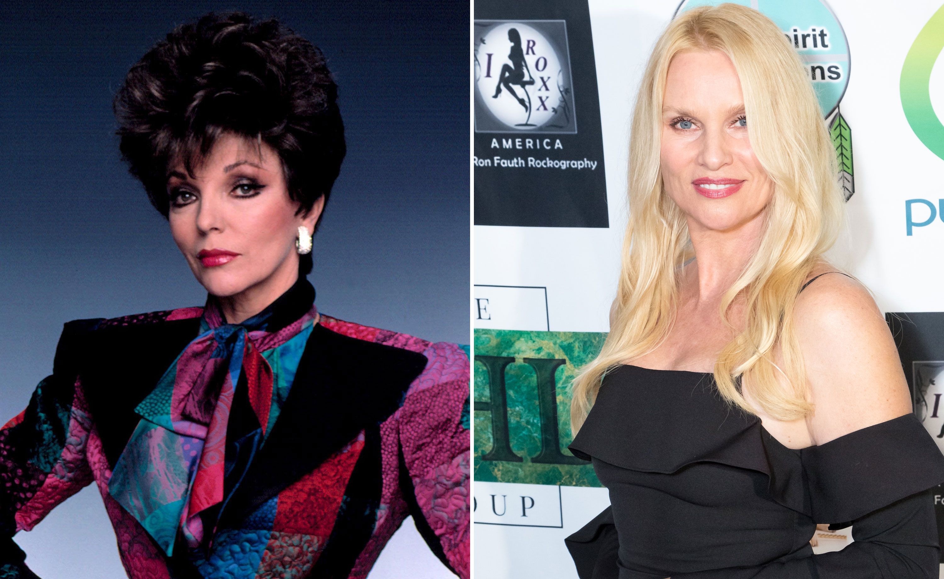 Dynasty casts Desperate Housewives Nicollette Sheridan as the new Alexis Carrington