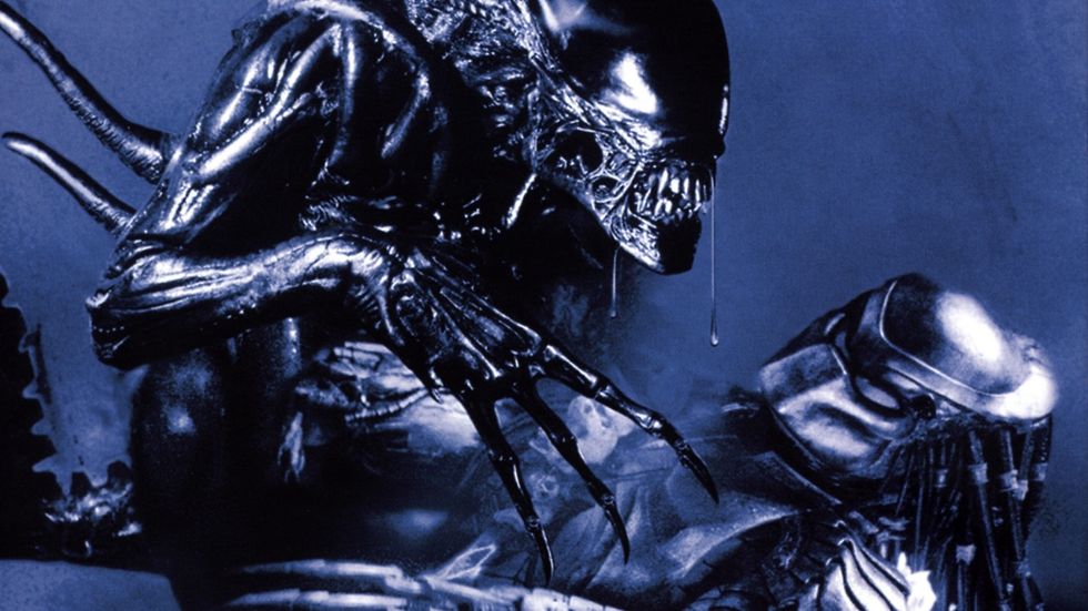 Alien vs Predator Funny wallpaper 1920x1080, bentleykevin18