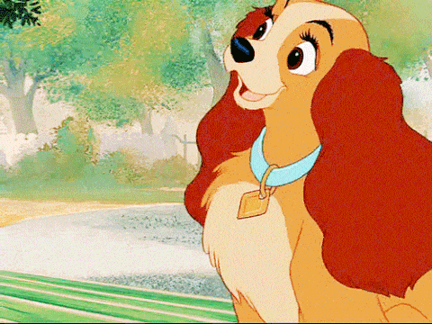 Disney's Lady and the Tramp – Lady happy GIF