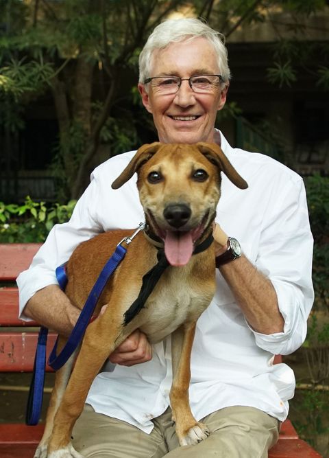 بول أوكونور ، من أجل حب الكلاب في الهند ، على وشك الموت