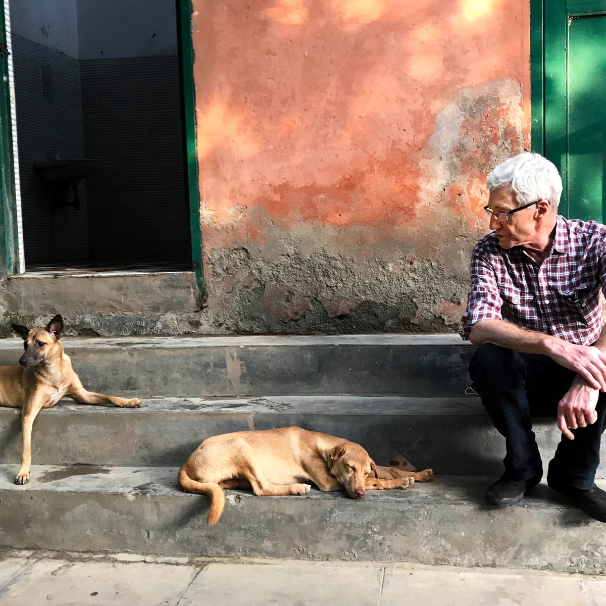 Paul O'Grady almost died while filming his new ITV documentary For the Love of Dogs in India Paul O'Grady almost died while filming his new ITV documentary For the Love of Dogs in India