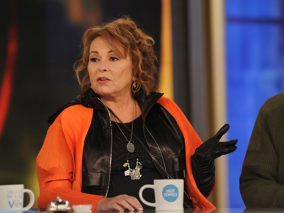 Roseanne Barr says she's "already been offered so many things" after TV  show axing