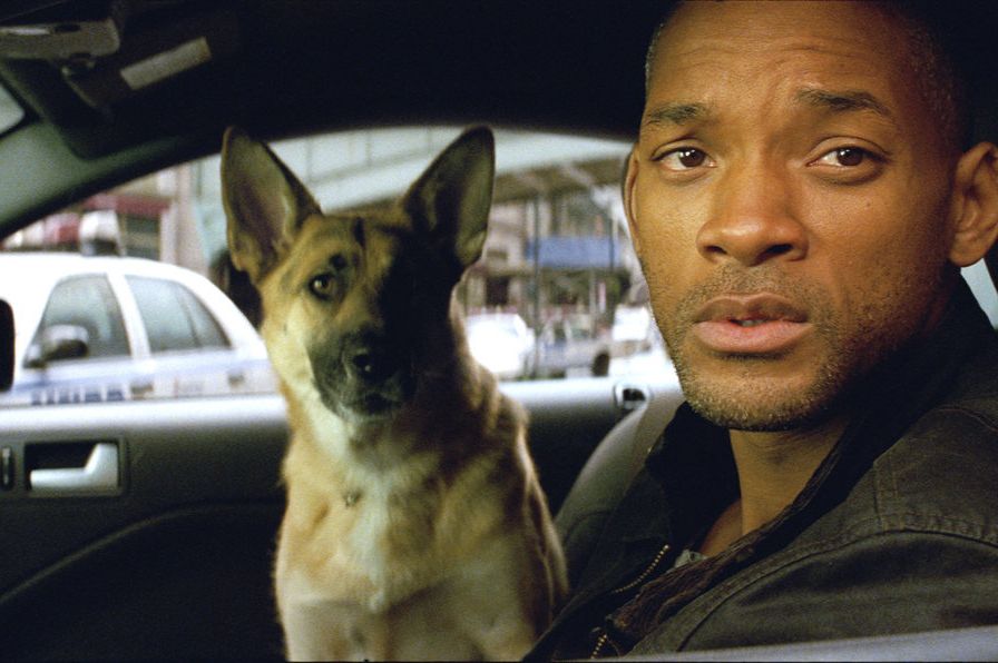 Will Smith und sein Hund in I am Legend