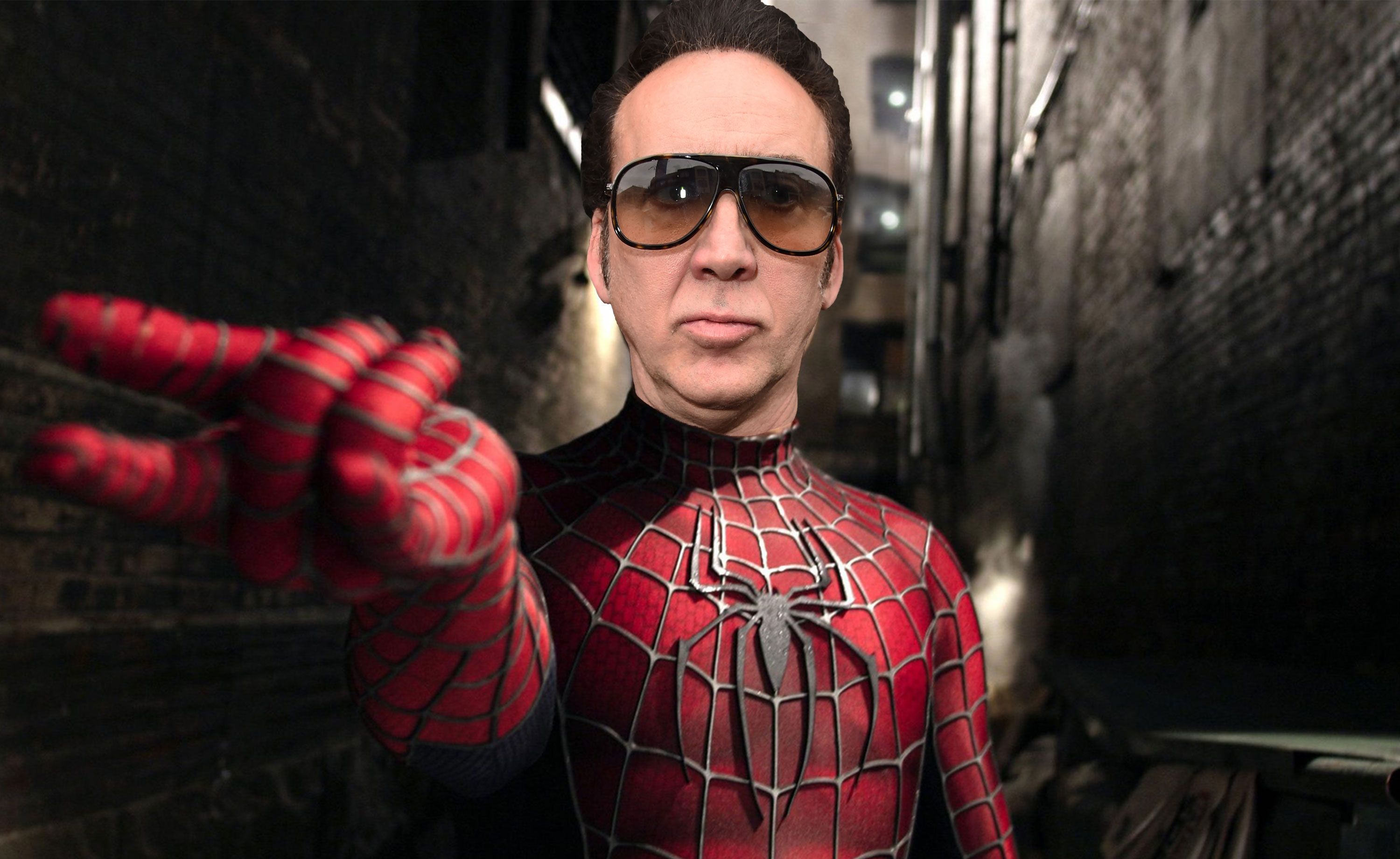 Nicolas cage shop spider man